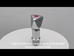 angle valve