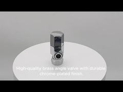 angle valve