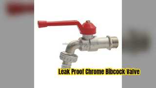 Heavy Duty Chrome Bibcock Valve for Kitchen Water Control